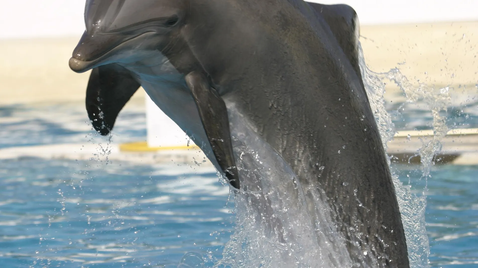 Marineland Resort Antibes Hotel